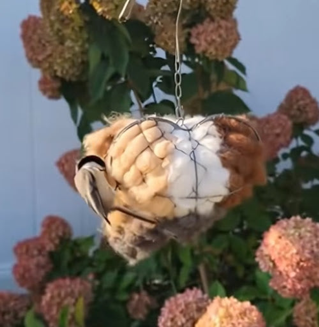 🔥LAST DAY 50% OFF - 🕊️🏡Handmade Natural Alpaca Fiber Bird Nesting Heart❤️A Cozy Gift for Birds