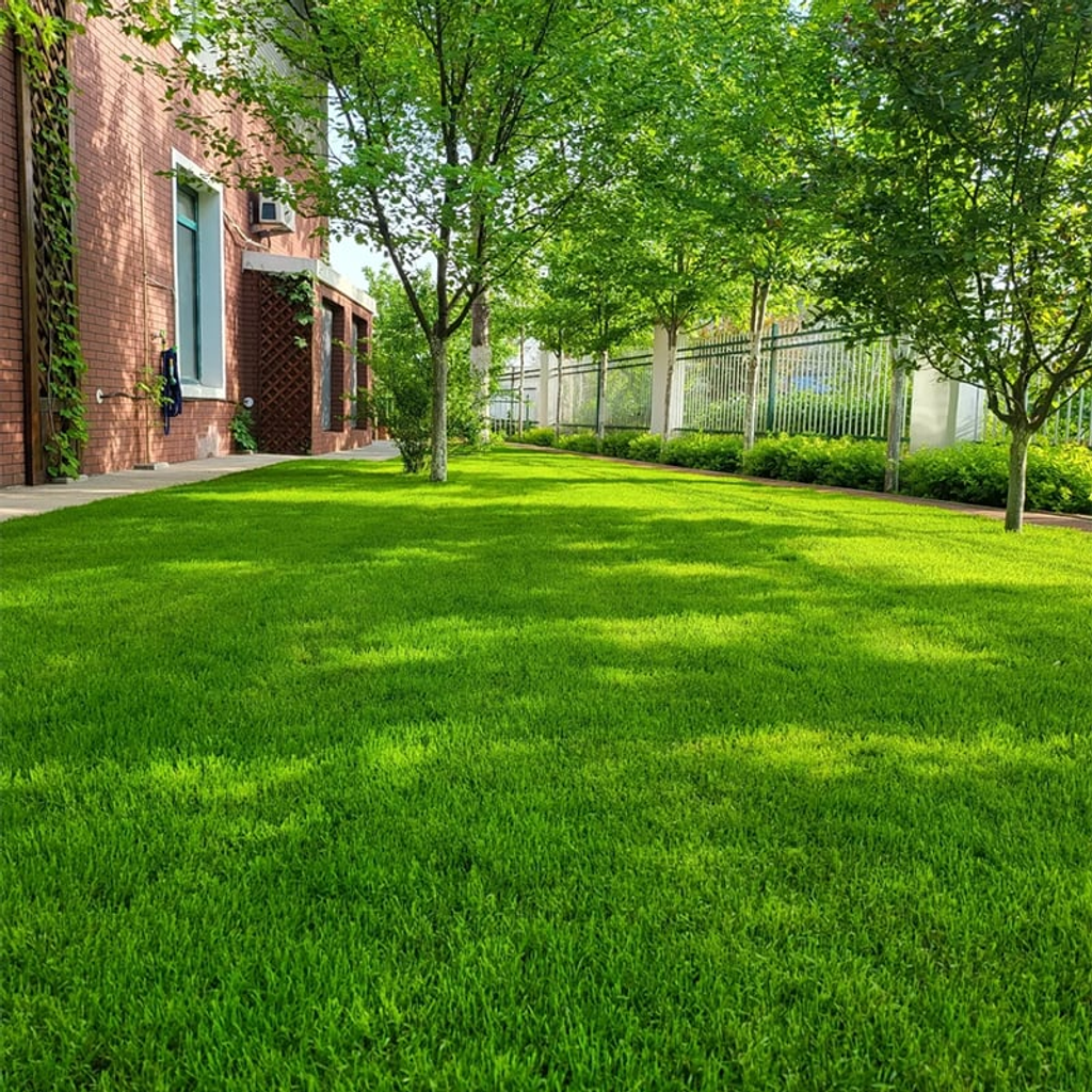 🔥 Last Day Promotion 50% OFF 🔥🌱 2026 Evergreen Dwarf Grass Seed for Four Seasons