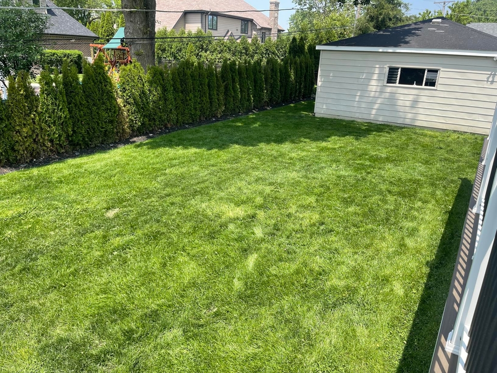 🔥 Last Day Promotion 50% OFF 🔥🌱 2026 Evergreen Dwarf Grass Seed for Four Seasons