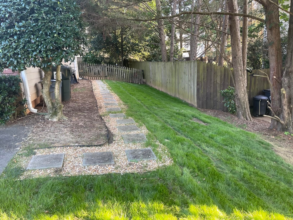 🔥 Last Day Promotion 50% OFF 🔥🌱 2026 Evergreen Dwarf Grass Seed for Four Seasons
